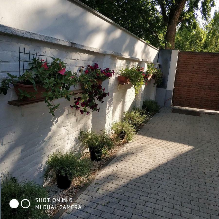 Belvarosi Apartmanszallo - Кишкунфеледьхаза Экстерьер фото
